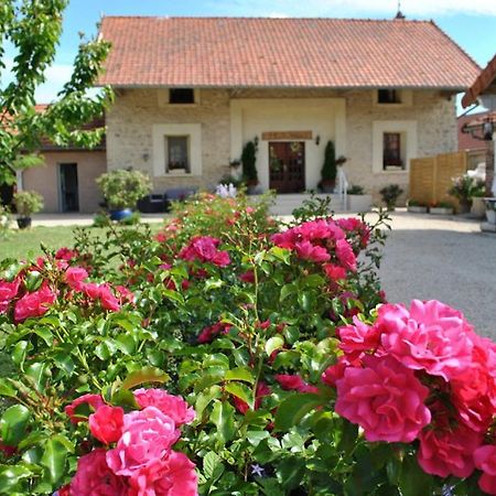 La Besace Bed & Breakfast Sainte-Croix  Dış mekan fotoğraf
